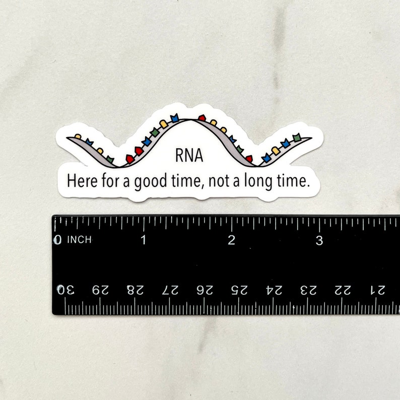 Rna Lettering Design Sticker RNA Sticker - Etsy