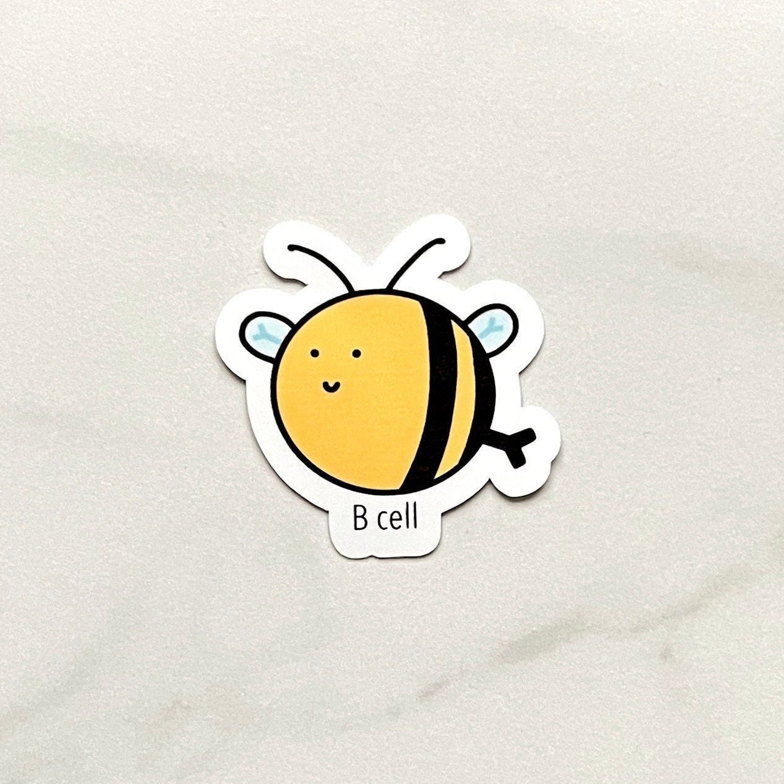 B Cell Sticker - Etsy
