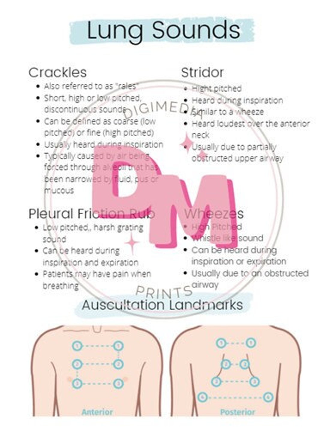 Nursing Lung Sounds Cheat Sheet Etsy