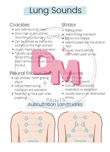 Lung Sound Assessment