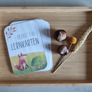 Lernkarten Zahlen 1-10 Herbst, Flashcards Zahlen, Zählen lernen Montessori, PDF- Download, Zahlen Kindergarten, Vorschule, Grundschule