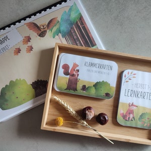 HERBST BUNDLE 3 tolle Lern- und Spielmaterialien zum Thema Herbst, Lernmappe, Klammerkarten Zählen 1-10, Lernkartei Zahlen 1-10, Montessori