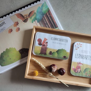 AUTUMN BUNDLE 3 great learning and playing materials on the subject of autumn, learning folder, counting 1-10 clip cards, learning card index numbers 1-10, Montessori