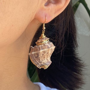 Golden Accent Ocean Seashell Conch Drop Dangle Earrings for Women and Girls | Beach Jewelry