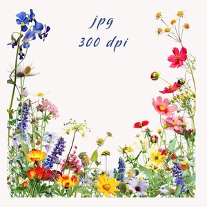 20 bordures de fleurs sauvages à l'aquarelle. Lot de 5. Fleurs et herbes des prés. Prairie colorée en été. Lot de cliparts imprimables. JPG haute résolution.