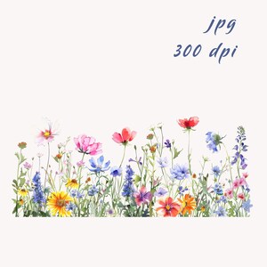 20 bordures de fleurs sauvages. Lot 3. Fleurs de prairie à l'aquarelle. Prairie printanière colorée. Fleurs et herbes. Lot de cliparts imprimables. JPG haute résolution.