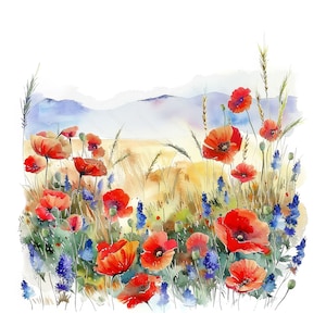 20 klaproosvelden in de zomer. Bloeiende aquarel klaprozen, korenbloemen, graanoren. Afdrukbare clipartbundel. Hoge resolutie JPG.