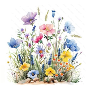 20 fleurs sauvages dans une prairie printanière. Ensemble 1. Fleurs et herbes de prairie aquarelles colorées. Lots de cliparts imprimables. JPG haute résolution.