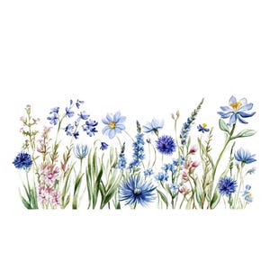 32 bordures de fleurs sauvages à l'aquarelle. Ensemble 10. Bordure de fleurs et d'herbes des prés. Cadre de fleurs d'été bleues. Lots de cliparts imprimables. Commercial.JPG