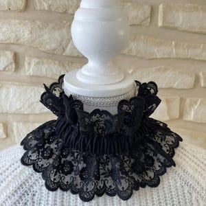 May include: Black lace collar with a scalloped edge and floral pattern. The collar is displayed on a white mannequin head.