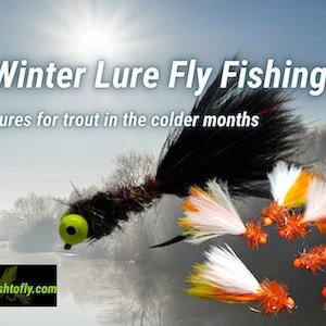 Puede incluir: Surtido de señuelos de pesca con mosca coloridos para truchas, incluyendo un señuelo negro y marrón con un ojo verde, y varios señuelos naranja y blanco con detalles negros. Pesca con mosca de invierno: Señuelos para truchas en los meses más fríos.