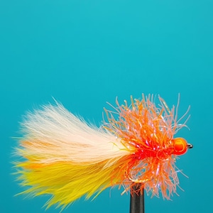 Esche Orange Hot Head Consett Budgie. Esche per trote Streamer Mosche per trote iridee Mosche da pesca nel Regno Unito Ninfe europee Testa di perlina Streamer per trote iridee Persico