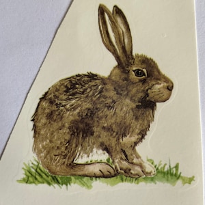 Könnte beinhalten: Detaillierte Illustration eines braunen Kaninchens, das auf grünem Gras sitzt. Das Kaninchen hat lange Ohren und ein flauschiges Fell, mit einer detaillierten Darstellung seines Fells. Das Kunstwerk befindet sich auf cremefarbenem Hintergrund.