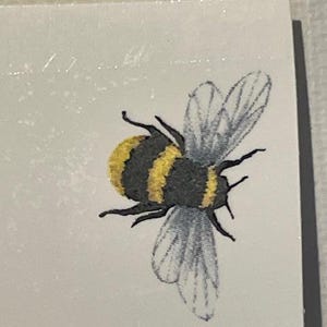 Può includere: Illustrazione dettagliata di un'ape su sfondo bianco. L'ape presenta un corpo a strisce gialle e nere, con ali traslucide. L'immagine è un primo piano, che mostra gli intricati dettagli dell'ape.