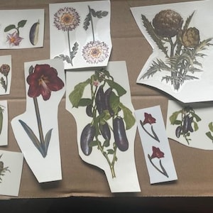 Könnte beinhalten: Eine Sammlung von Aufklebern mit botanischem Thema, die verschiedene Pflanzen und Gemüse zeigen. Die Aufkleber zeigen Bilder von Auberginen, Blumen, Artischocken und Erbsenschoten. Die Farbpalette besteht aus Grün-, Lila- und Weißtönen mit einer Vintage-Ästhetik.