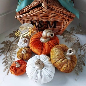 May include: A set of six velvet pumpkins in various colours, including orange, white, and gold. The pumpkins are arranged on a white surface with a wicker basket and a sign that reads "Parkes Pumpkin" in the background.