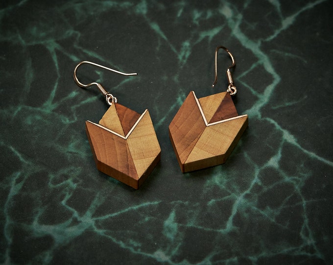 Handcrafted duo wood earrings with brass detailing