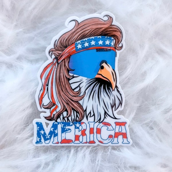 America sticker / American flag / funny sticker / America/ let’s go Brandon