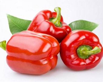 ORGANIC BELL Pepper 50 Seeds RED  / Free Shipping Fresh & Natural Peppers seed - From Hungary - Capsicum Annuum var. Grossum