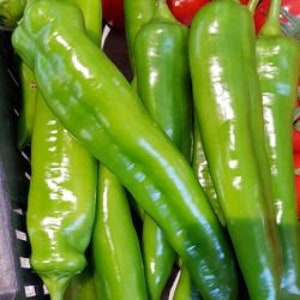 Fresh Organic Hot Long / Gigant GRÜNE PEPPERS 50 Stück Samen KOSTENLOSER Versand Fresh & Green Chili Peppers Seed Aus Ungarn Budapester Markt Bild 2