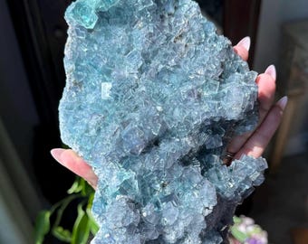 May include: A large, raw fluorite crystal cluster. The crystal displays a range of blue and purple hues, with a crystalline structure. The fluorite is held in a hand, showcasing its size and natural beauty. The overall aesthetic is of a natural mineral specimen.