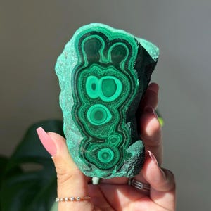 May include: A vibrant green malachite stone with concentric circular patterns. The polished surface reveals a striking contrast of light and dark green hues. The natural stone is held in a hand, showcasing its unique, organic form. A beautiful specimen for collectors.