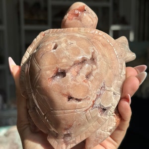 May include: A carved pink and white turtle figurine made of selenite crystal. The turtle has a detailed shell with a natural crystal formation.