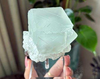 中国内モンゴル産キャンドルクォーツ上のブルーベリーフローライト｜高