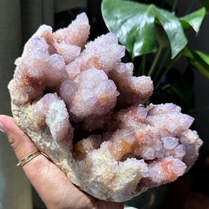 以下が含まれることがあります： 薄紫色の色合いとオレンジ色のアクセントが特徴のアメジストの結晶の塊。結晶は密集しており、質感のある表面を形成しています。基部は薄いベージュ色です。結晶は手で持たれています。
