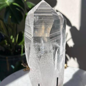 Può includere: Una punta di cristallo di quarzo trasparente, esposta su un supporto di metallo nero. Il cristallo è trasparente con striature interne visibili e una punta affilata. Lo sfondo include una pianta verde e una superficie bianca.