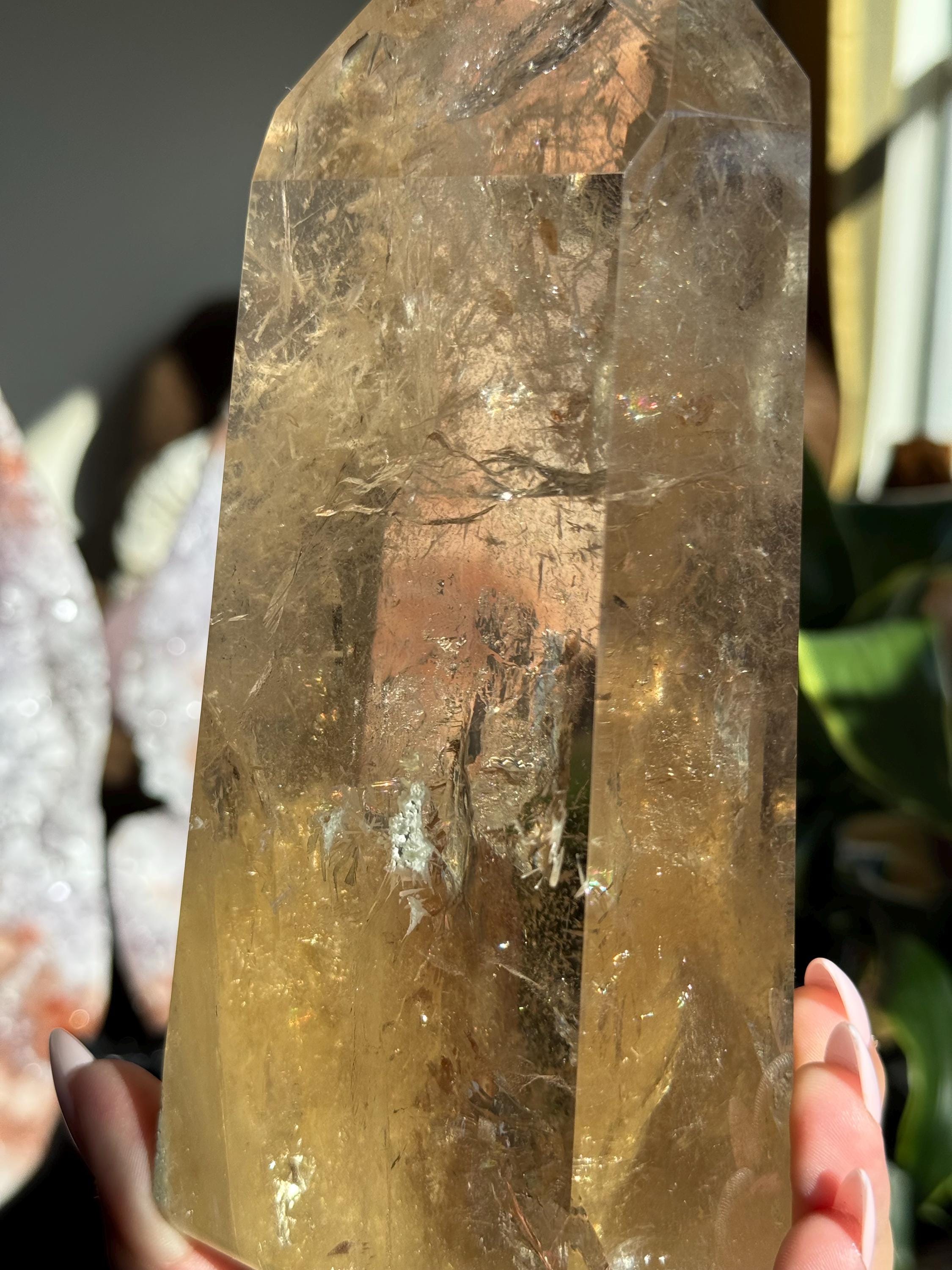 XL (4.8ポンド) 2.04kg ゴージャスな天然ハニーシトリン レムリアン