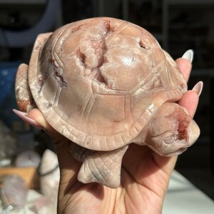 May include: A pink and white carved turtle figurine made of rose quartz. The turtle has a detailed shell and a smooth, polished finish.