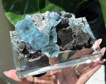 May include: A blue and black mineral specimen displayed on a clear acrylic stand. The mineral features crystalline structures in shades of blue and black. The stand is rectangular with rounded edges. The background includes green foliage.