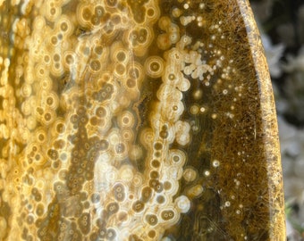 Gorgeous XL Rare Old Stock Green|Yellow|White Green Quartz Orbicular Ocean Jasper Bowl Dish ~ Marovato, Madagascar