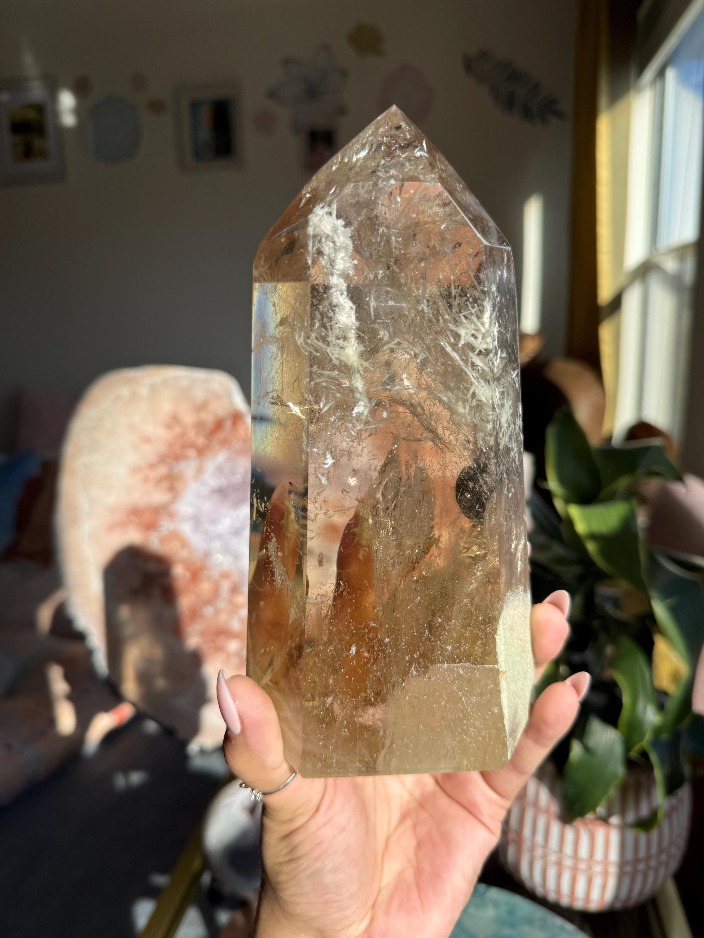 XL (4.8ポンド) 2.04kg ゴージャスな天然ハニーシトリン レムリアン