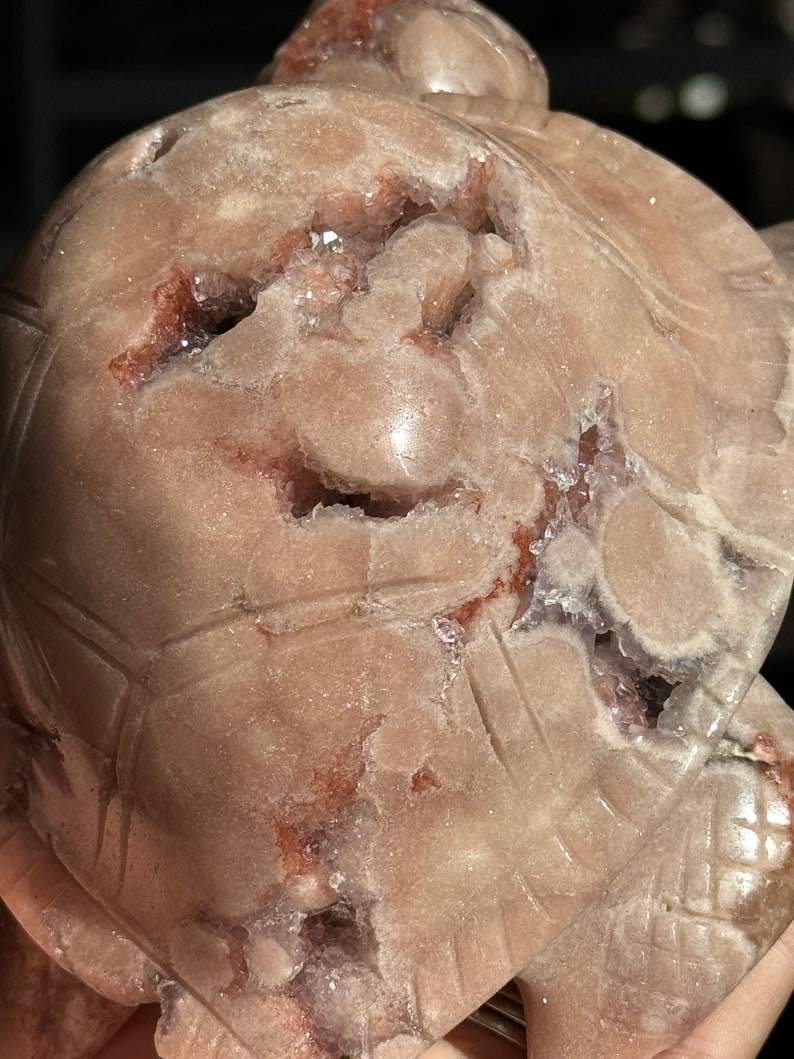 May include: A carved amethyst turtle sculpture with a natural crystal formation. The turtle's shell is a light brown color with a translucent, purple amethyst crystal inside.