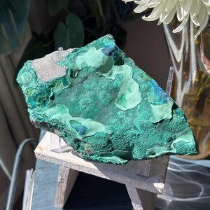 May include: A large, irregularly shaped malachite specimen, showcasing a vibrant green hue with darker, textured patterns and patches of blue. The mineral is displayed on a small wooden stand, with a white flower and greenery in the background.