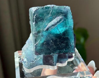 May include: A teal fluorite crystal cluster, displayed on a clear acrylic stand. The crystal has a cube-like form with internal patterns and a textured surface. The stand is designed for display, offering an elegant presentation of the mineral specimen.