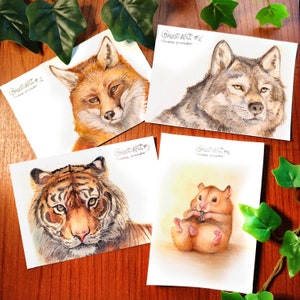 Postales - Acuarelas