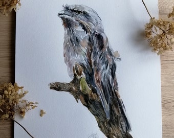 Owl Swallow Watercolor A3 ORIGINAL