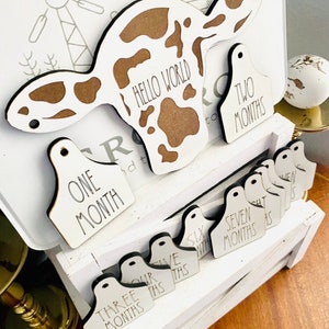 13 Piece Baby Milestone White Cow Head w/Tags, Personalized Gift, Baby Shower Gift, Baby Milestone Cards