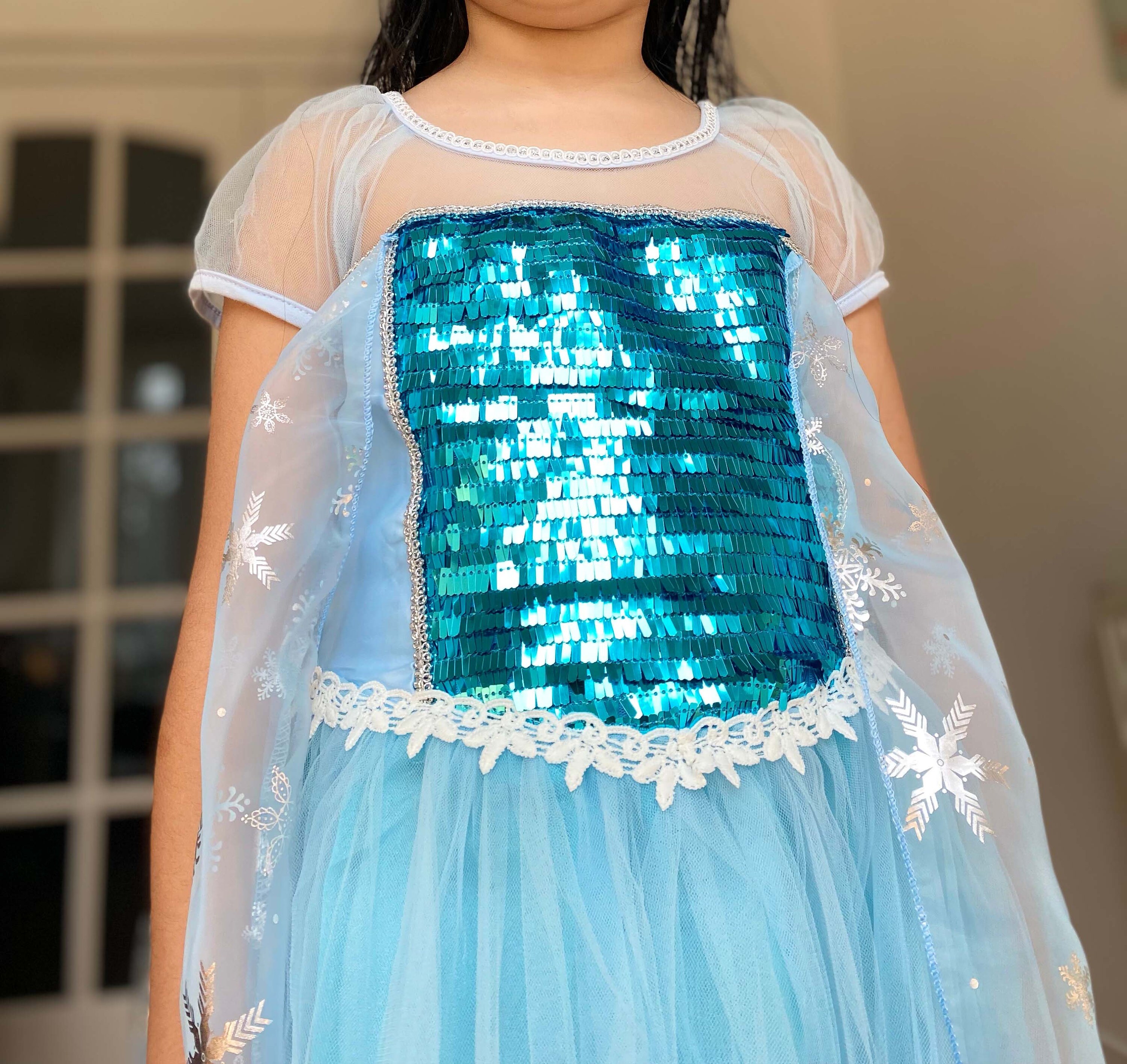 Frozen Elsa Costume/ Snow Queen Costume Etsy