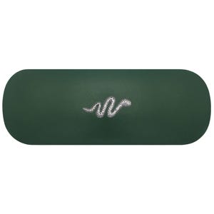 Schlangen Hartschalenetui. Klapperschlangen Brillenetui. Schickes Diamondback Lesebrillen Etui. Reptil Brillenetui. Schlange Geburtstagsgeschenk