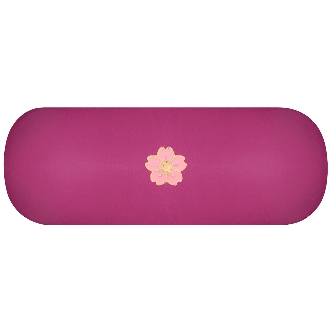 Pink Glass Case Pink Cherry Blossom Hard Glasses Case. Daisy Spectacle Case. Flower ...
