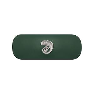 Chameleon Glasses Case. Reptile Spectacle Case. Gecko Eyeglasses Case. Exotic Pet Lizard Sunglasses Case. Tropical Iguana Contact Lens Case