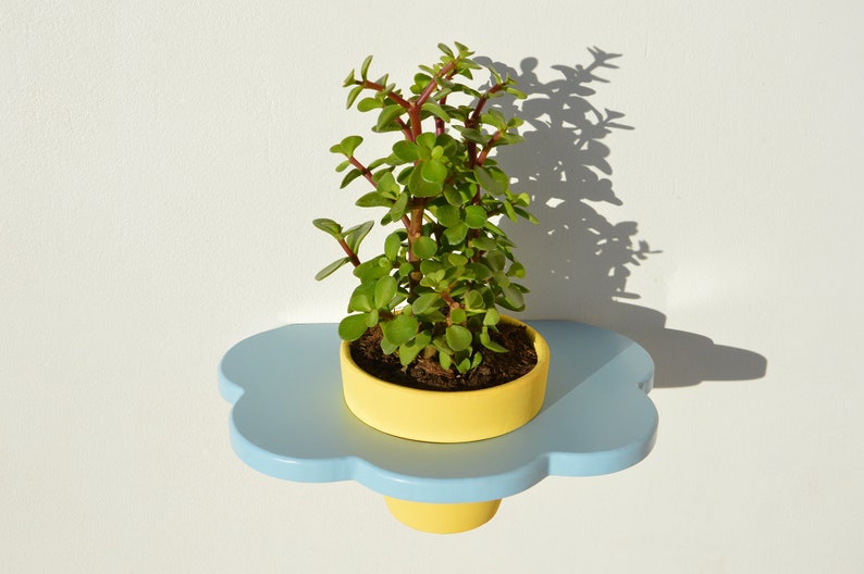 Flora Plant Shelf With Pot Etsy