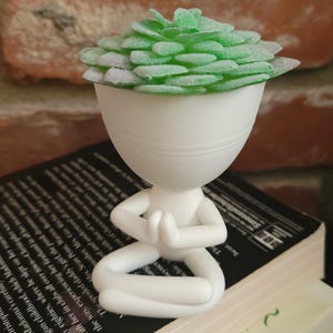 Plant Buddy Planter, Cute Plant Pot, Succulent Pot, Garden Buddy, Houseplant Holder,  Stick Figure Design, Unique Home Deco
