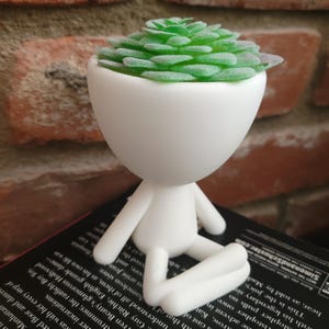 Plant Buddy Planter, Cute Plant Pot, Succulent Pot, Garden Buddy, Houseplant Holder,  Stick Figure Design, Unique Home Deco