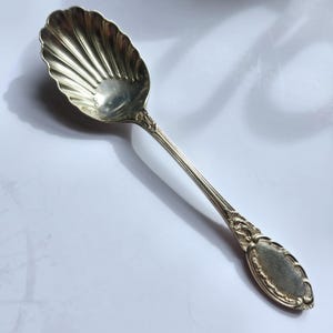 Puede incluir: Una cuchara de servir plateada con un cuenco en forma de concha y un mango largo y ornamentado. El cuenco de la cuchara tiene un diseño acanalado y el mango presenta intrincados diseños florales y de volutas. La cuchara es probablemente de plata de ley.