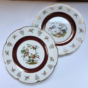 Platos Ascot de Wood & Sons • Juego de 2 • Loza estampada con pájaros • Vajilla de loza inglesa